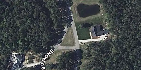 Image 2: lot 117
