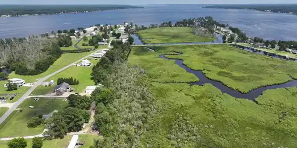Image 4: DJI_20250628151002_0038_D (1)