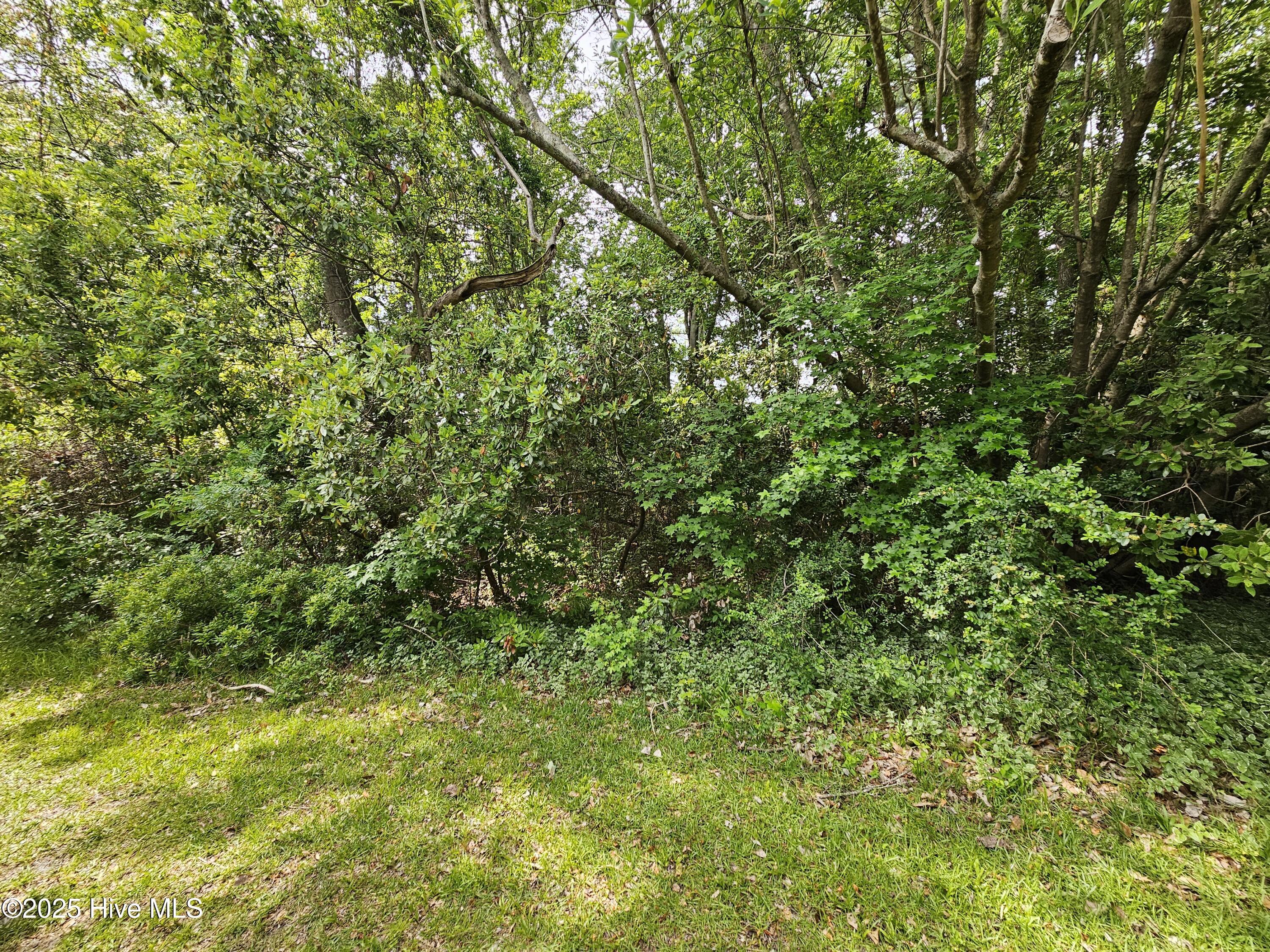 Image 2: 20250508_153026