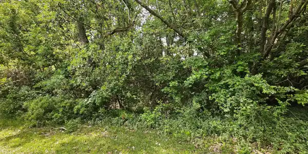 Image 2: 20250508_153026
