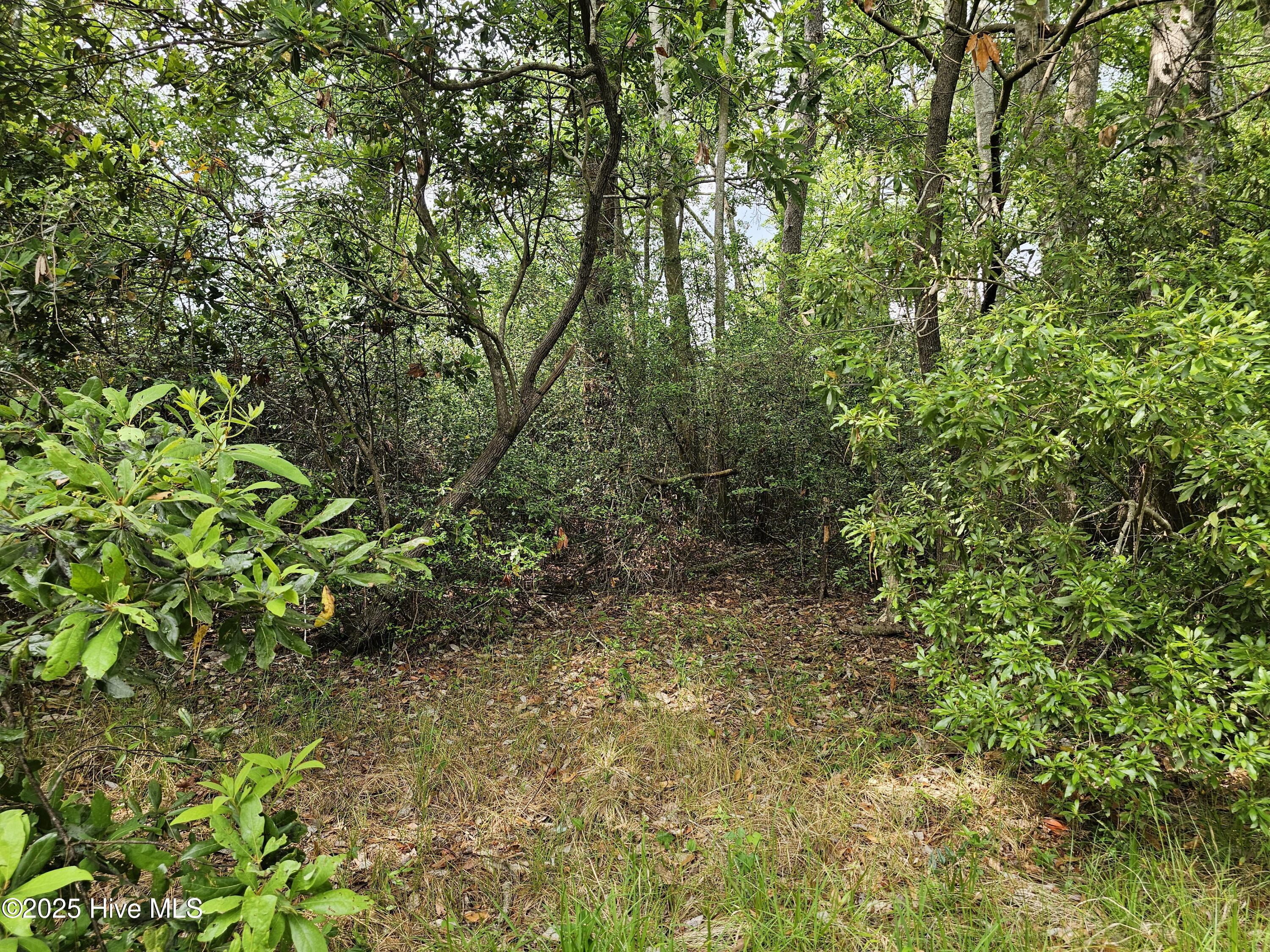 Image 3: 20250508_153101