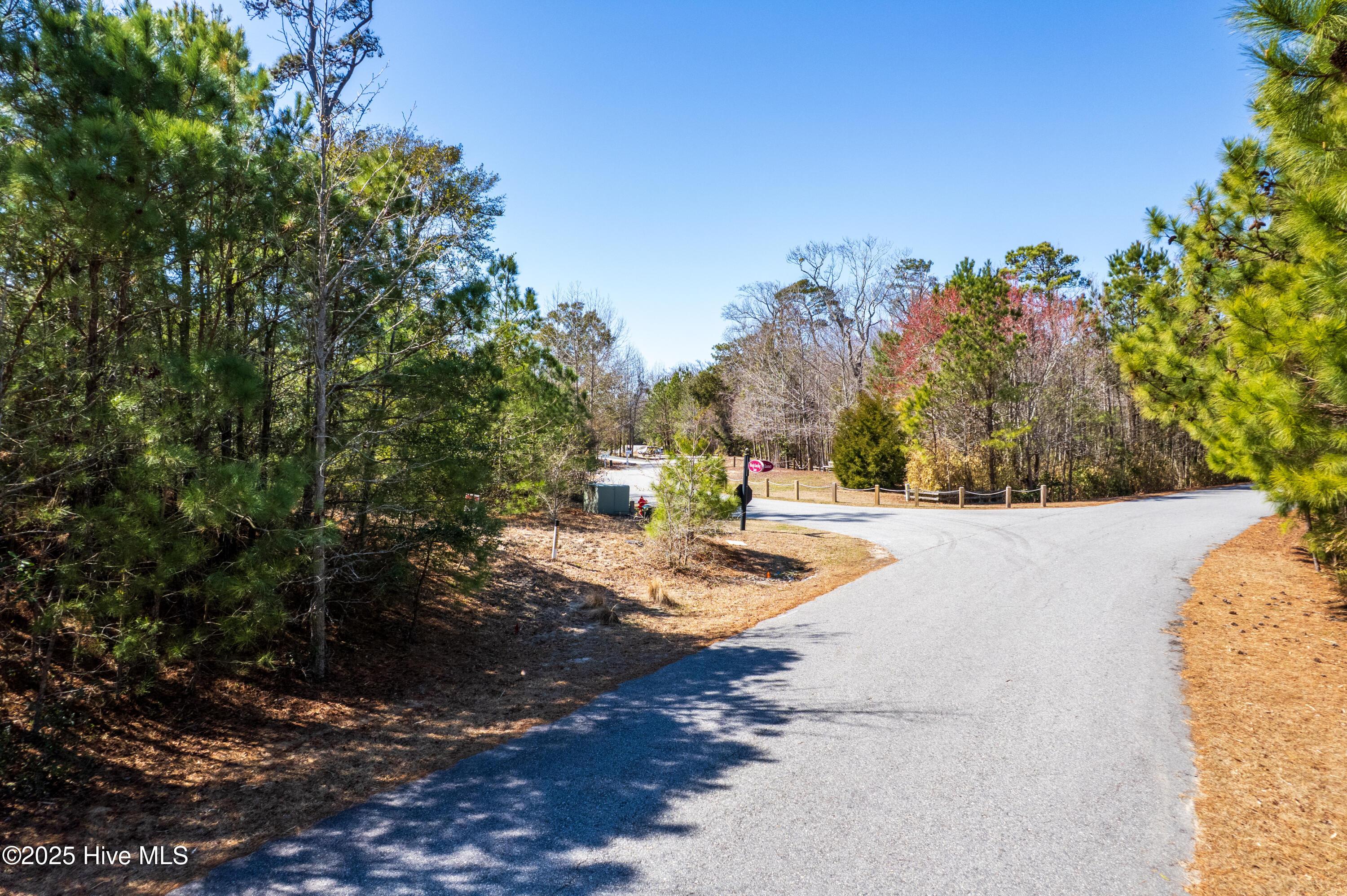 Image 4: lot-5 - Copy