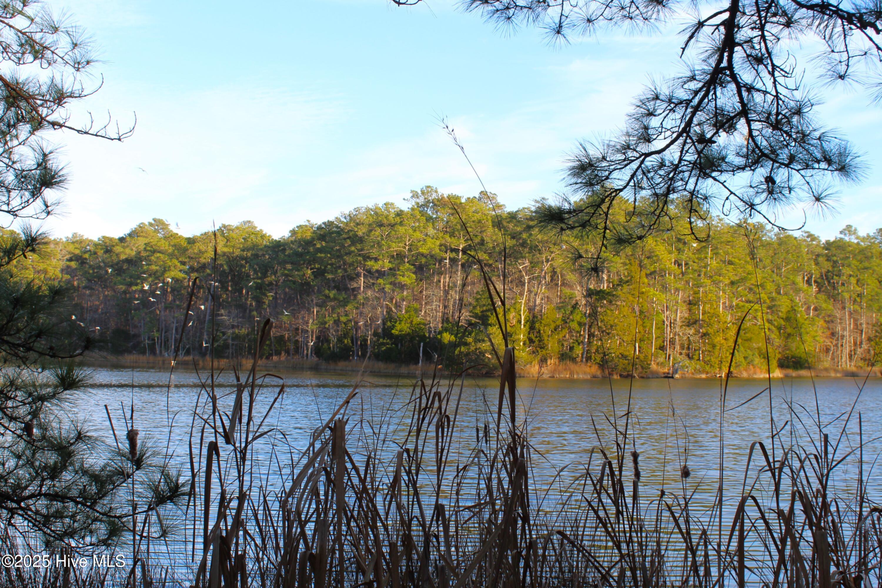 Image 2: Lot with Water frontage