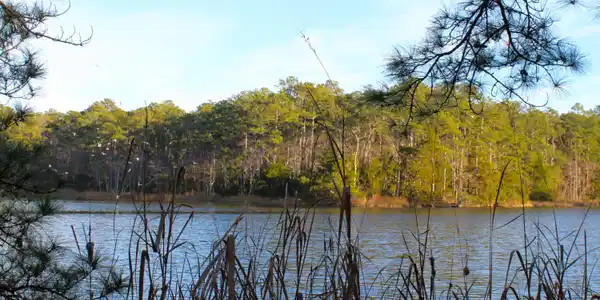 Image 2: Lot with Water frontage