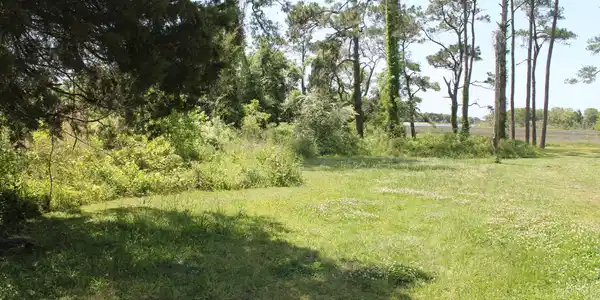 4143 Harrison Road SW