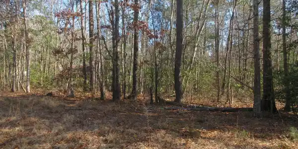 107 Dot Sears Drive