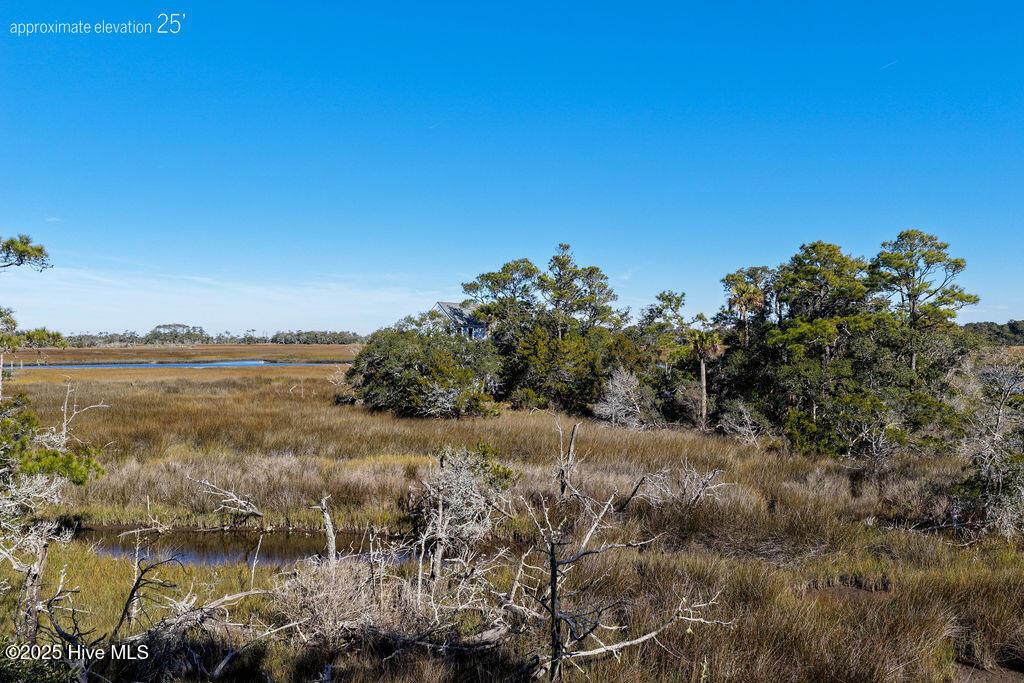 Image 3: Marsh