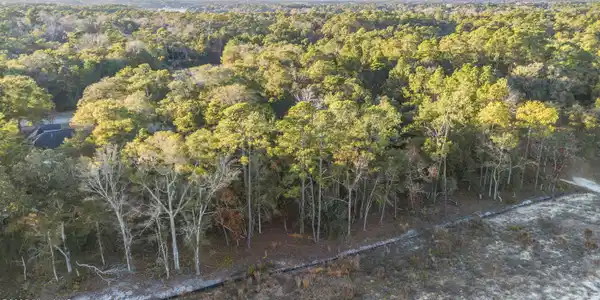 Image 4: DJI_0992