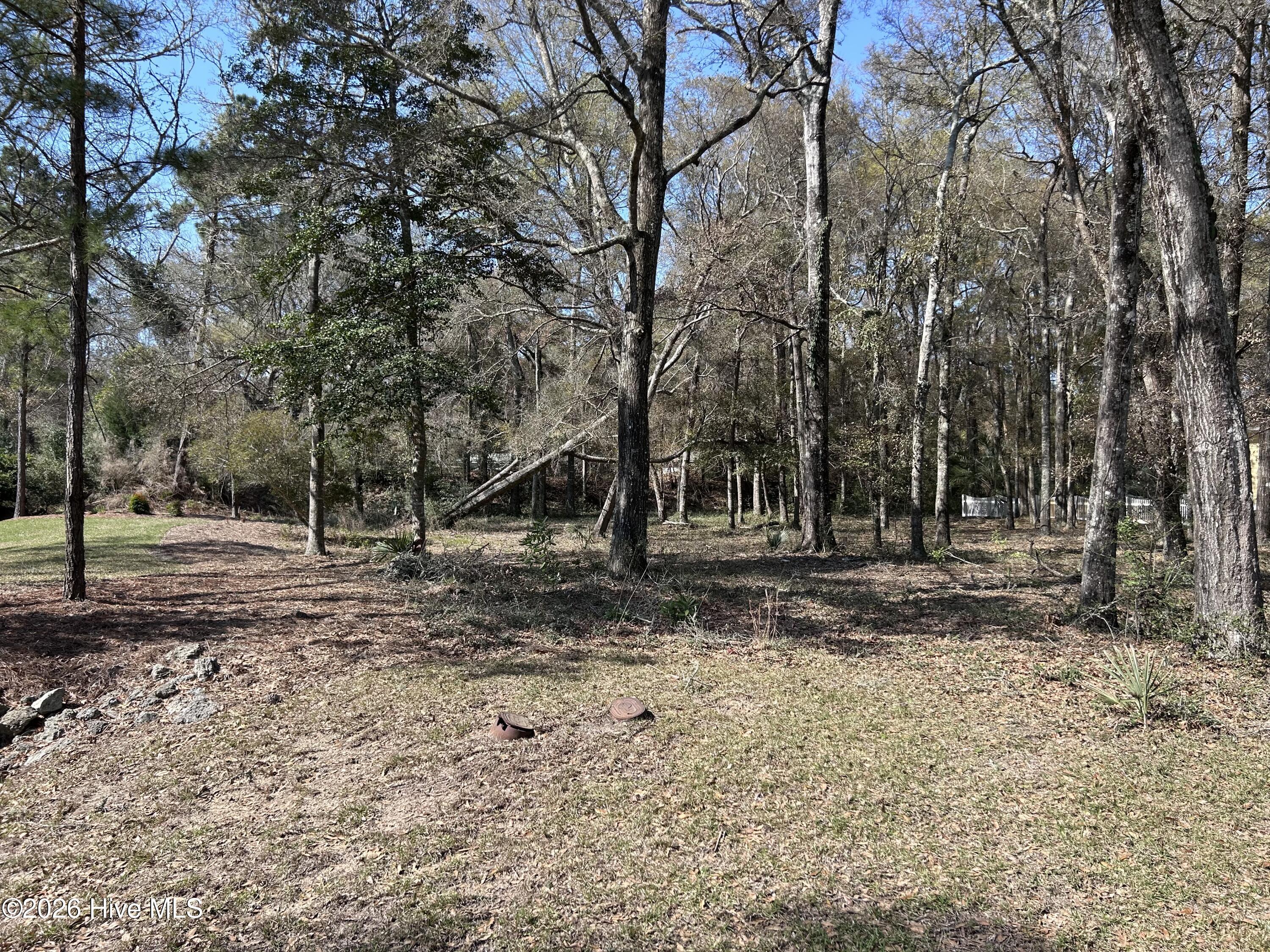 Image 4: IMG_1093