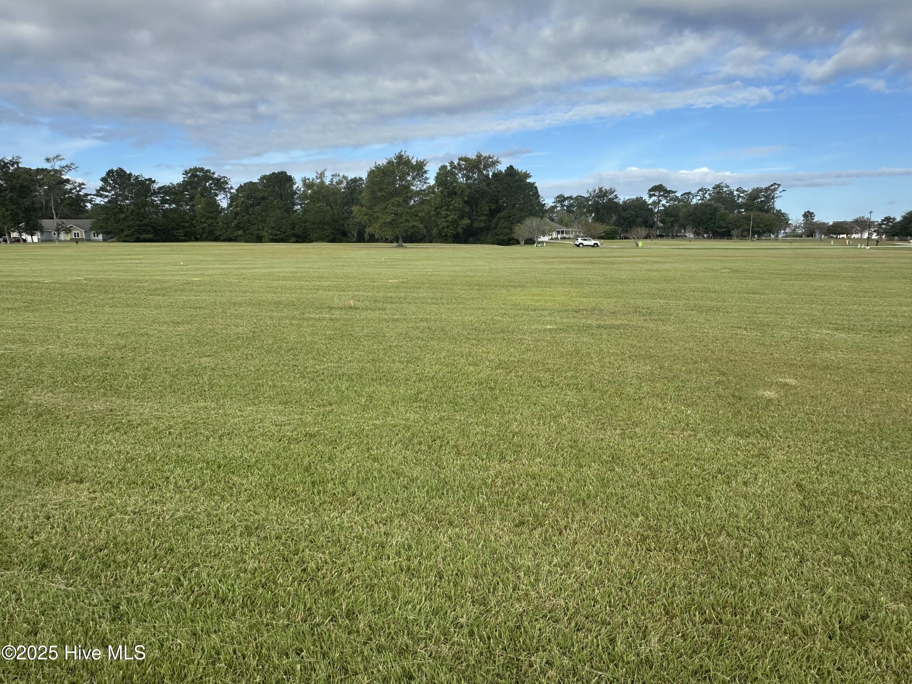 Image 4: Back of lot view