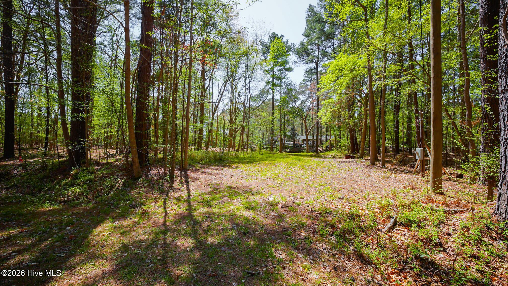 Image 3: _DSC0814