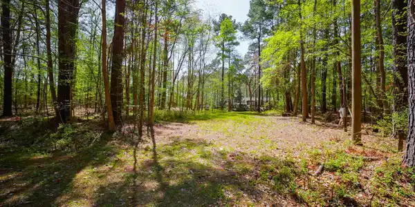 Image 3: _DSC0814