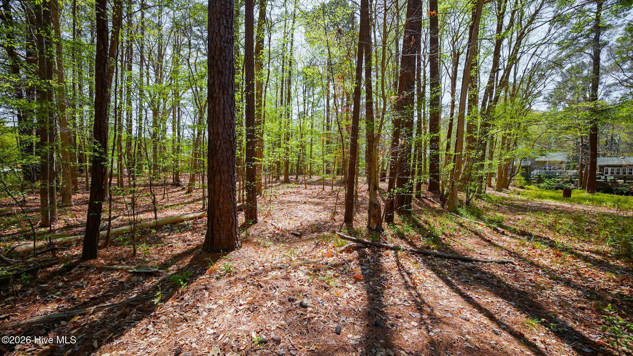 Image 4: _DSC0815