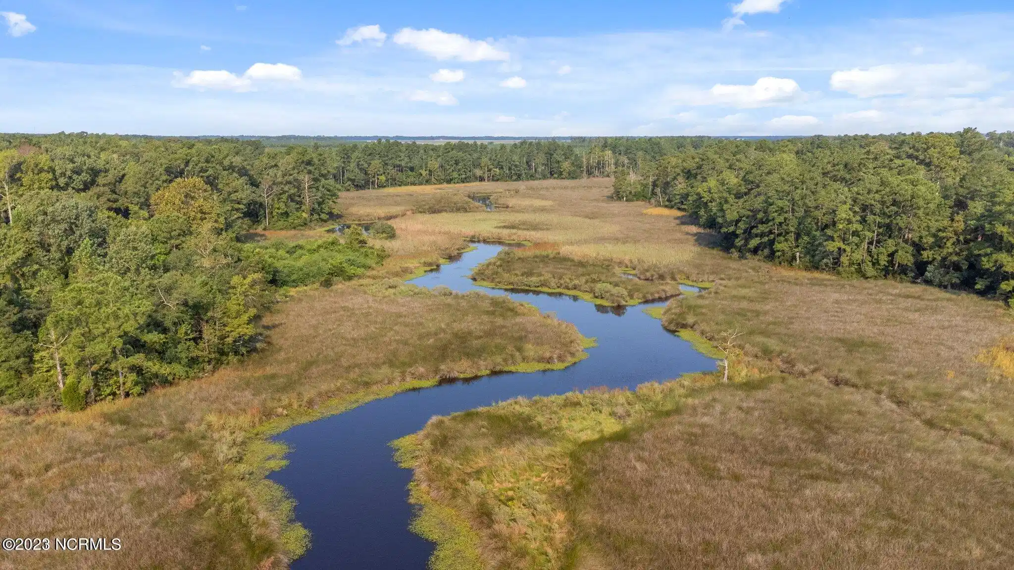 Image 1: 2 Dees Avenue, Bayboro NC