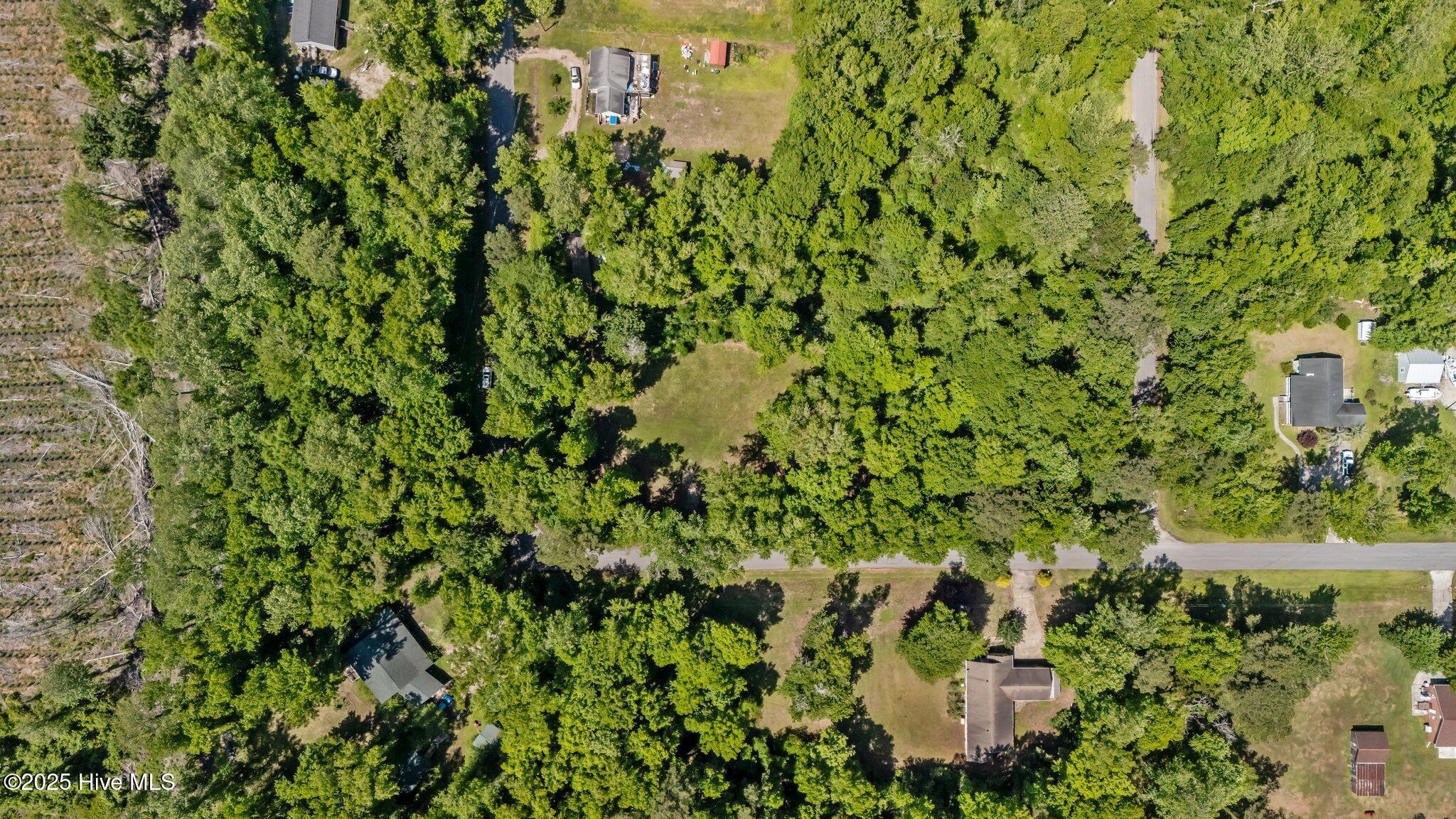 Image 4: 0.9 acre corner lot