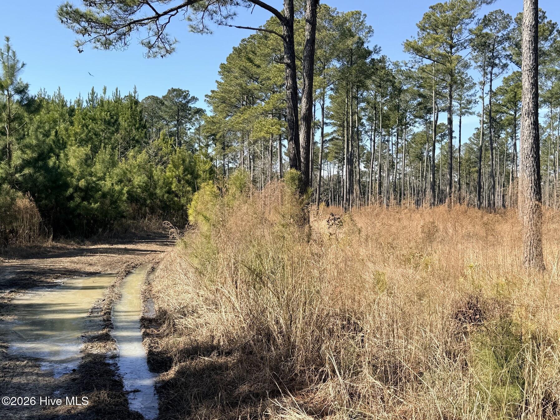 Image 4: Road to Lot