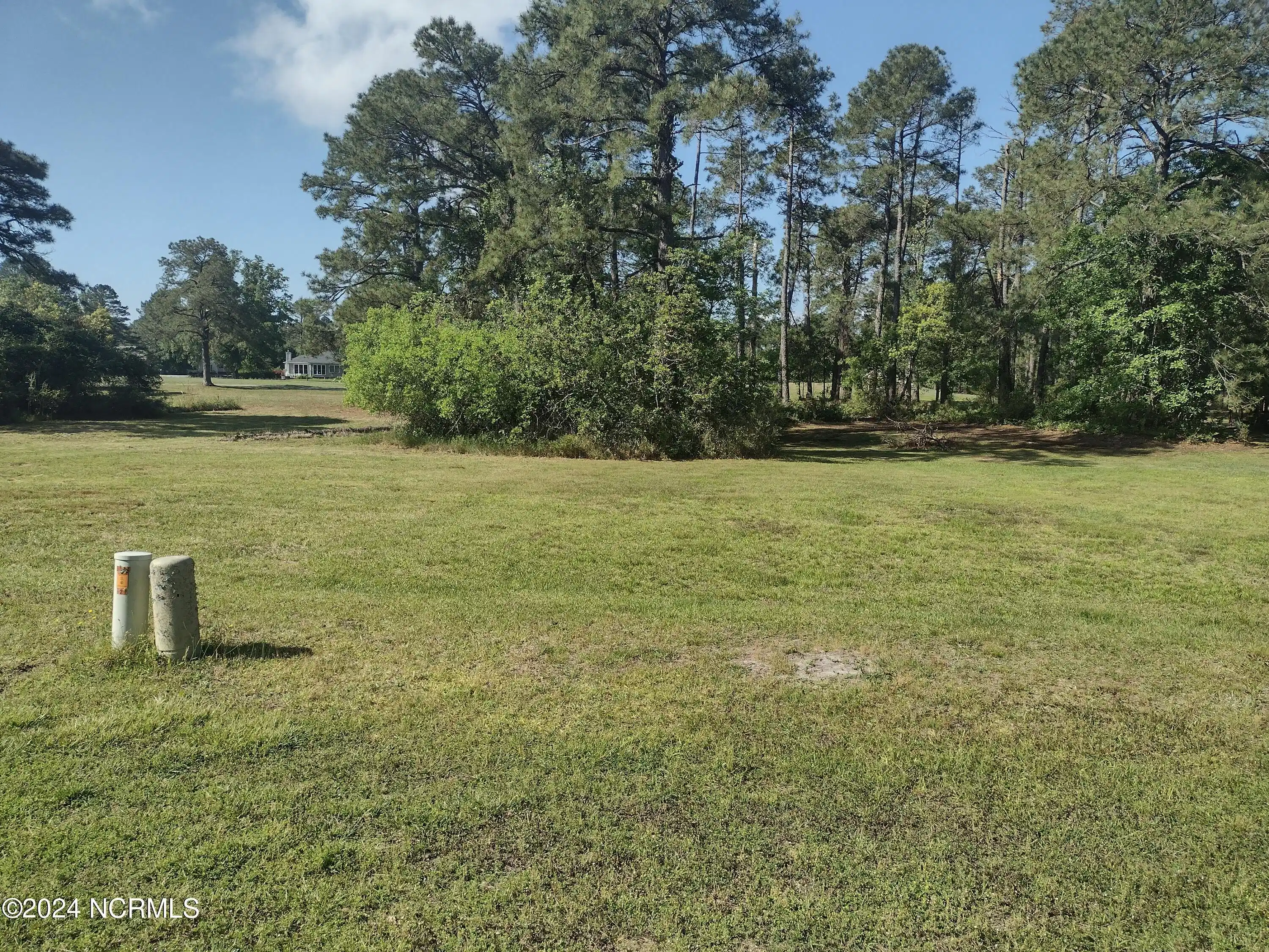 Image 1: 1731 Caracara LOT(2)