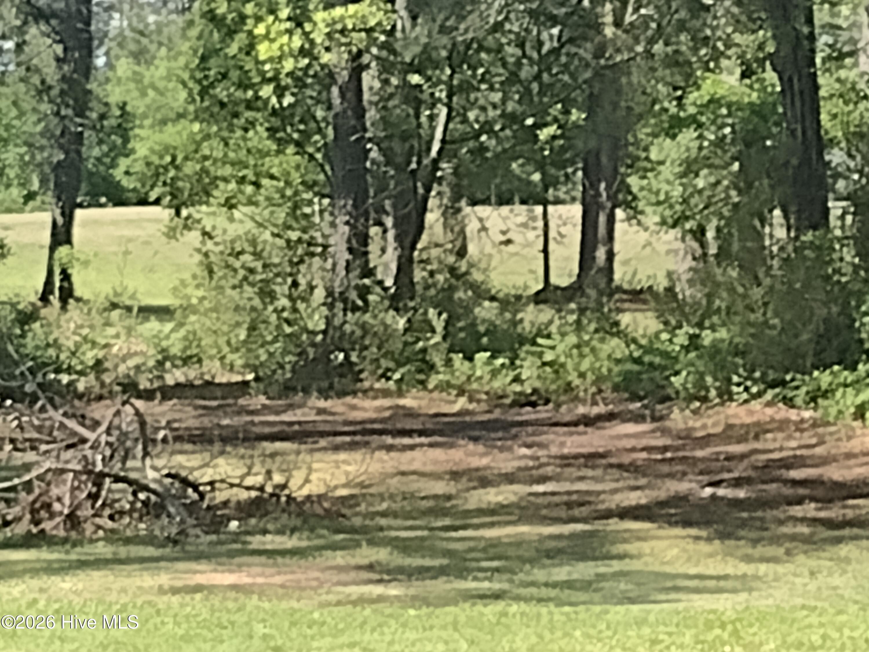 Image 1: LOT