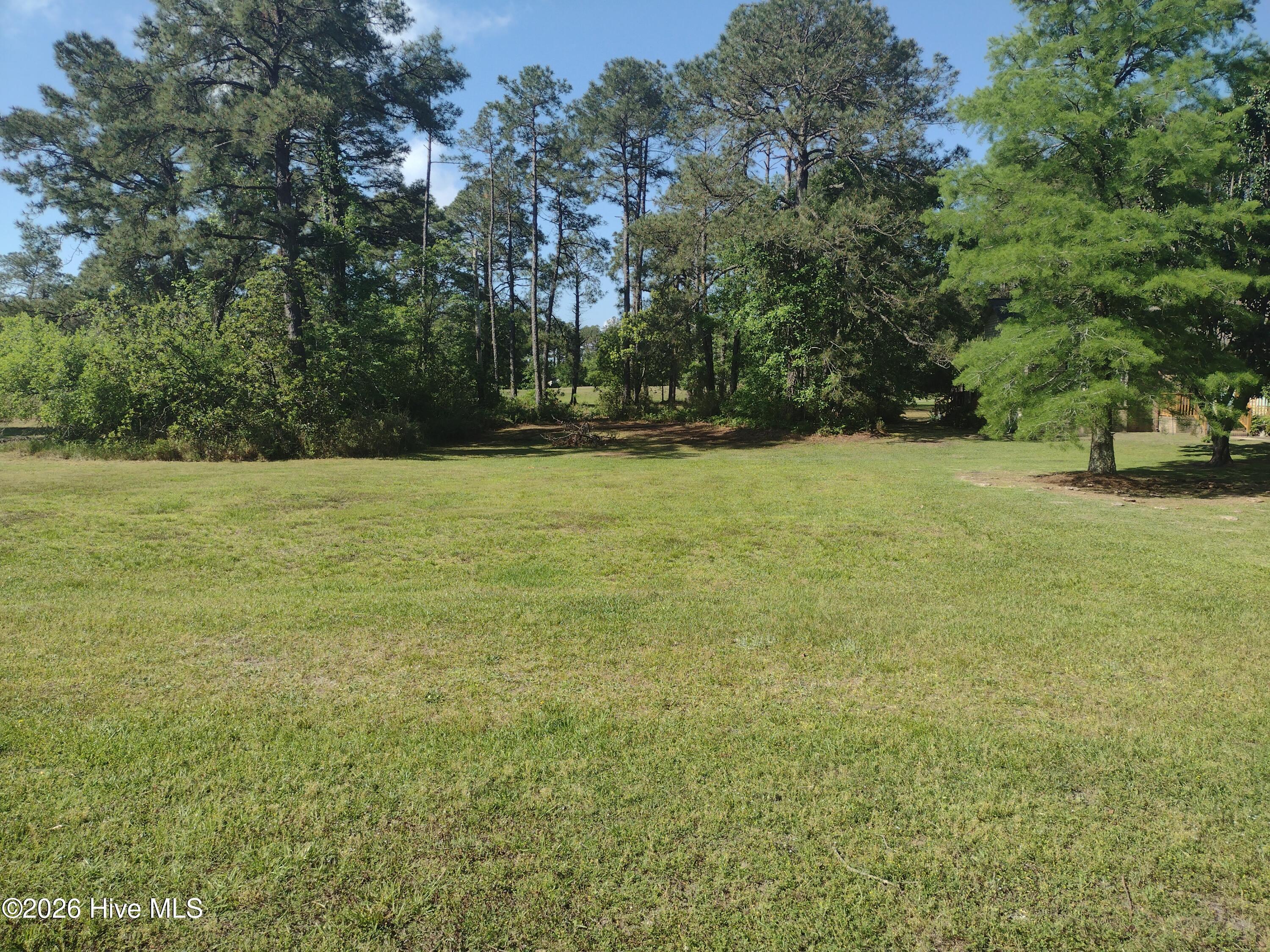 Image 2: 1733 Caracara LOT(2)
