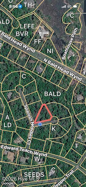 Image 3: 2 GRAY FOX CT