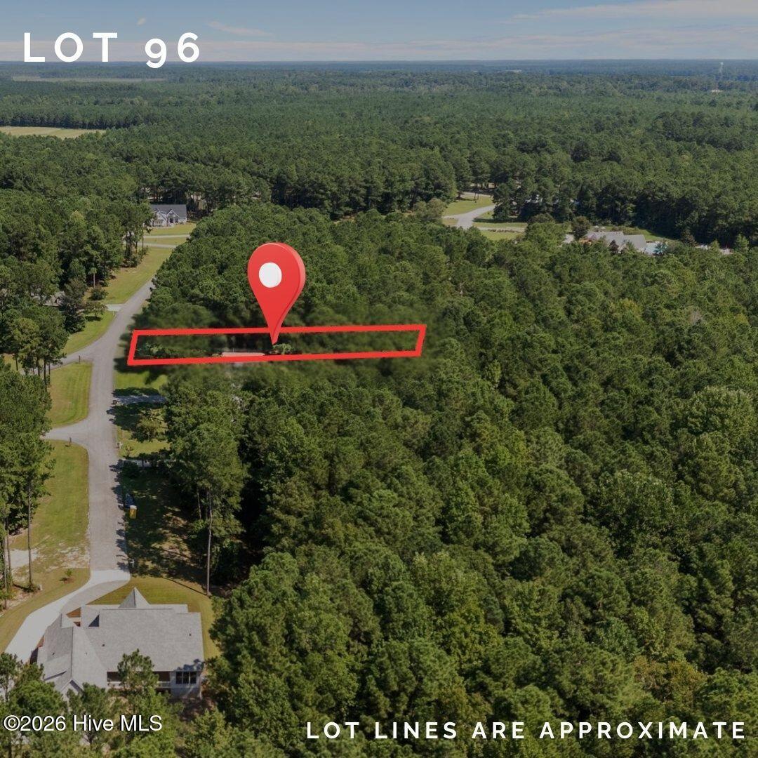 Image 1: Lot 96 (1)
