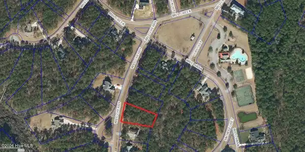 Image 2: Lot 96 - listing pic