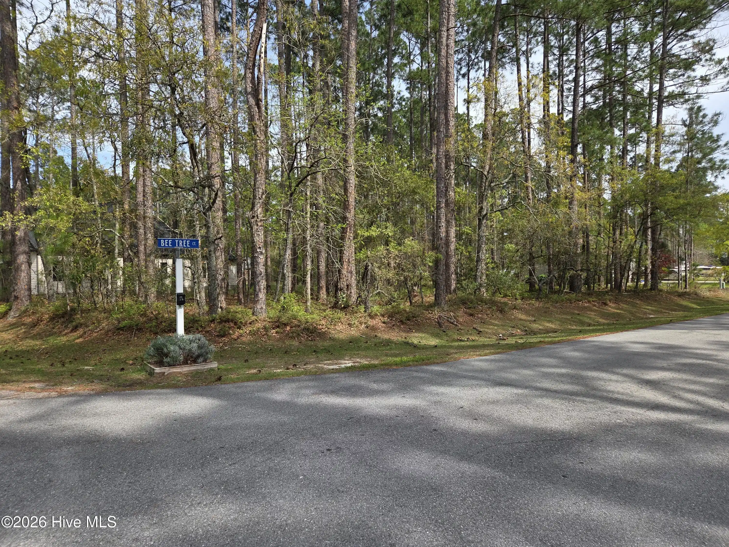 Image 1: 901 Bee Tree Ct lot photo