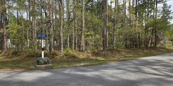 901 Bee Tree Court