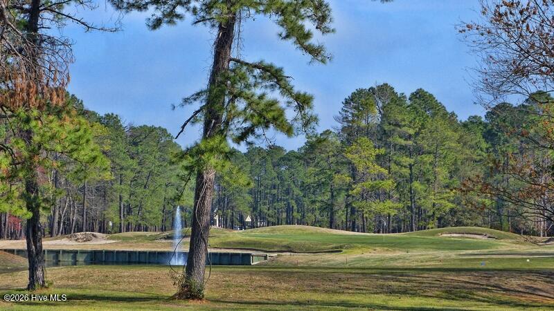Image 2: golf