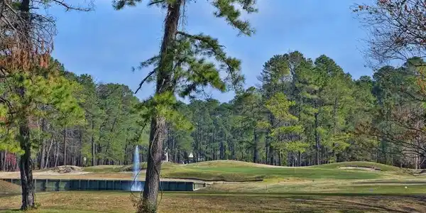 Image 2: golf