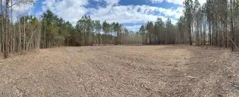 Image 2: Clearing 2 lot #9
