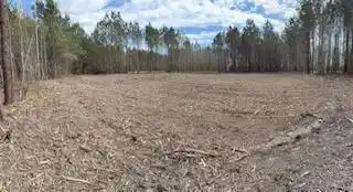 Image 3: clearing lot #9