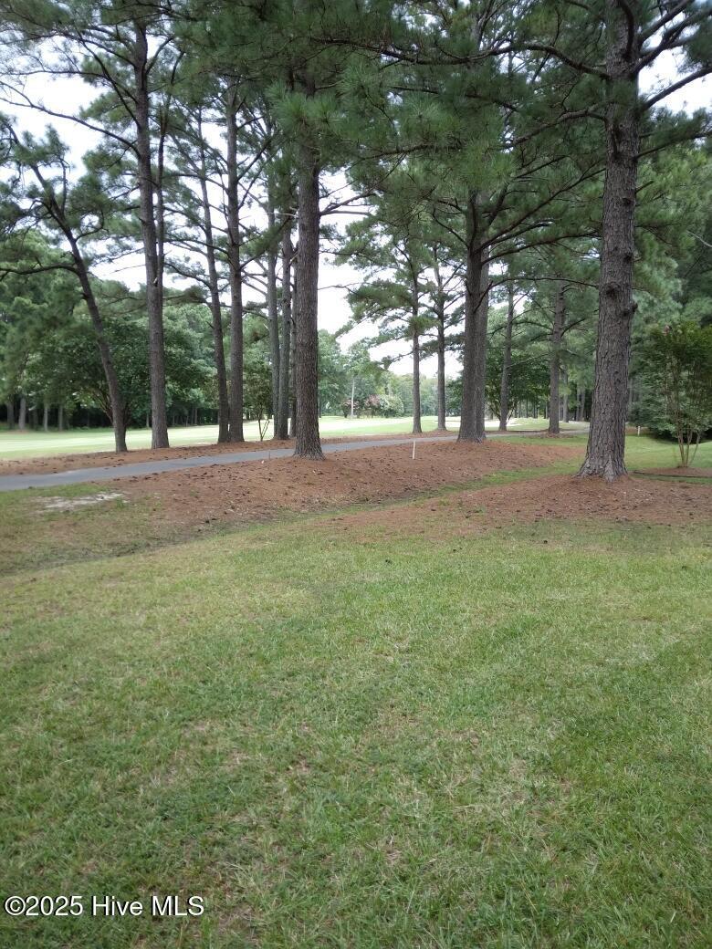 Image 1: Image