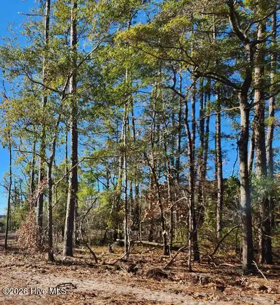 Image 1: Lot 216