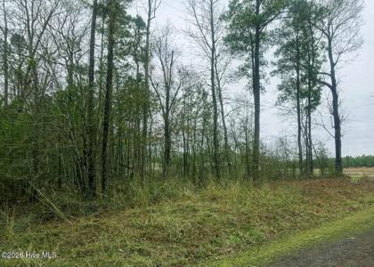 Lots 35-36 Choctaw Trail