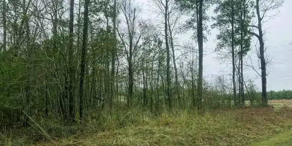 Lots 35-36 Choctaw Trail