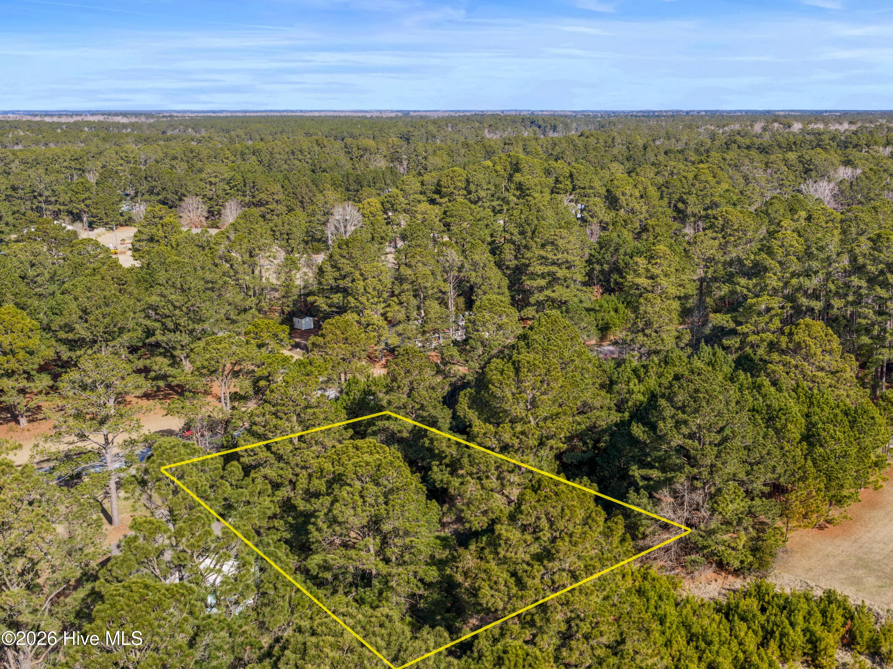 Image 3: DJI_20260130103722_0003_D-Edit