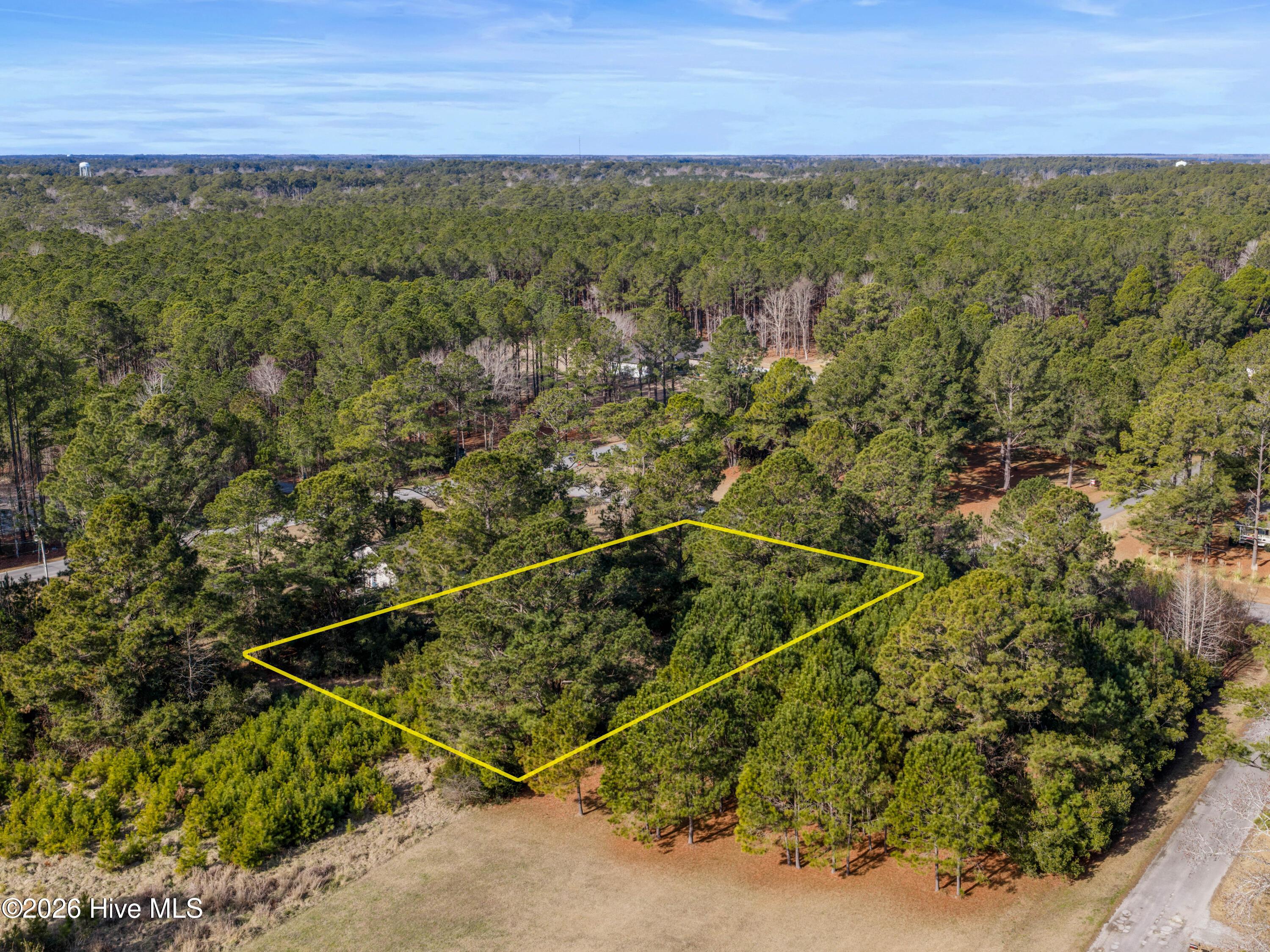 Image 4: DJI_20260130103741_0004_D-Edit