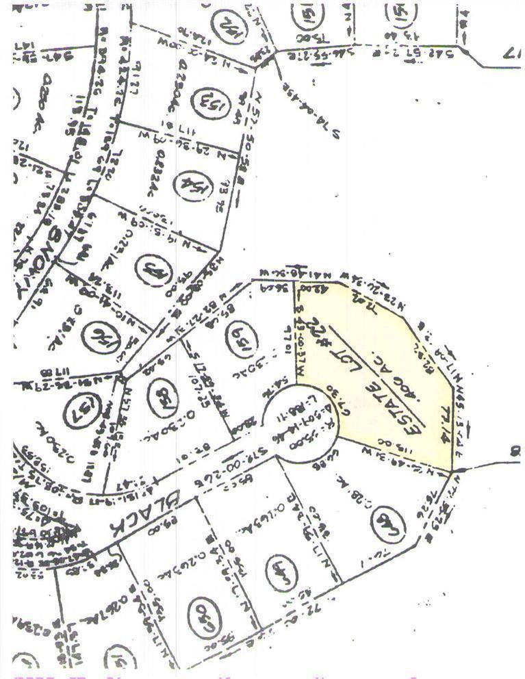 Image 3: Additional Photo
