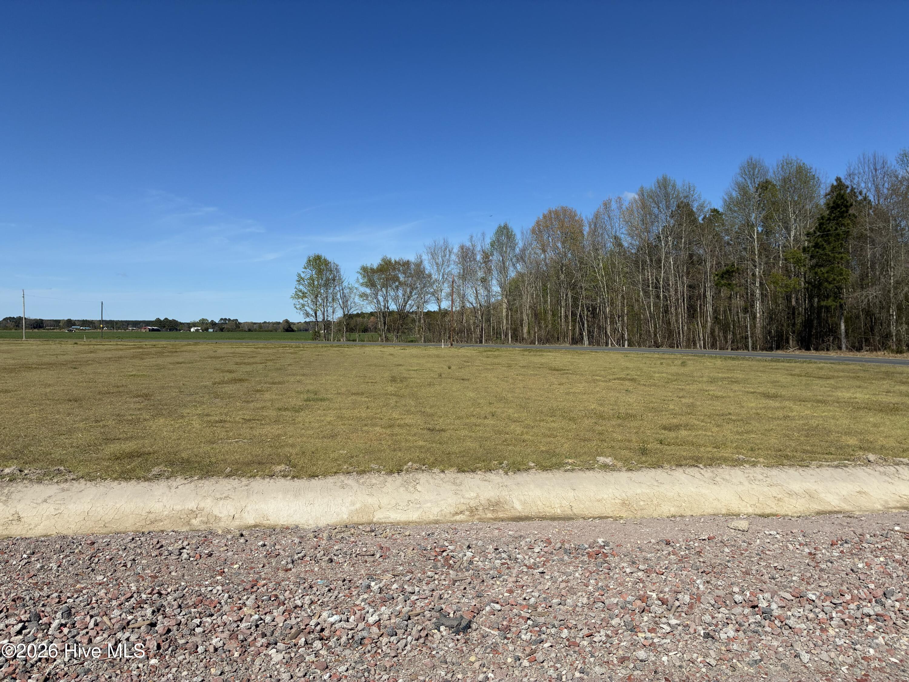 Image 4: IMG_1429