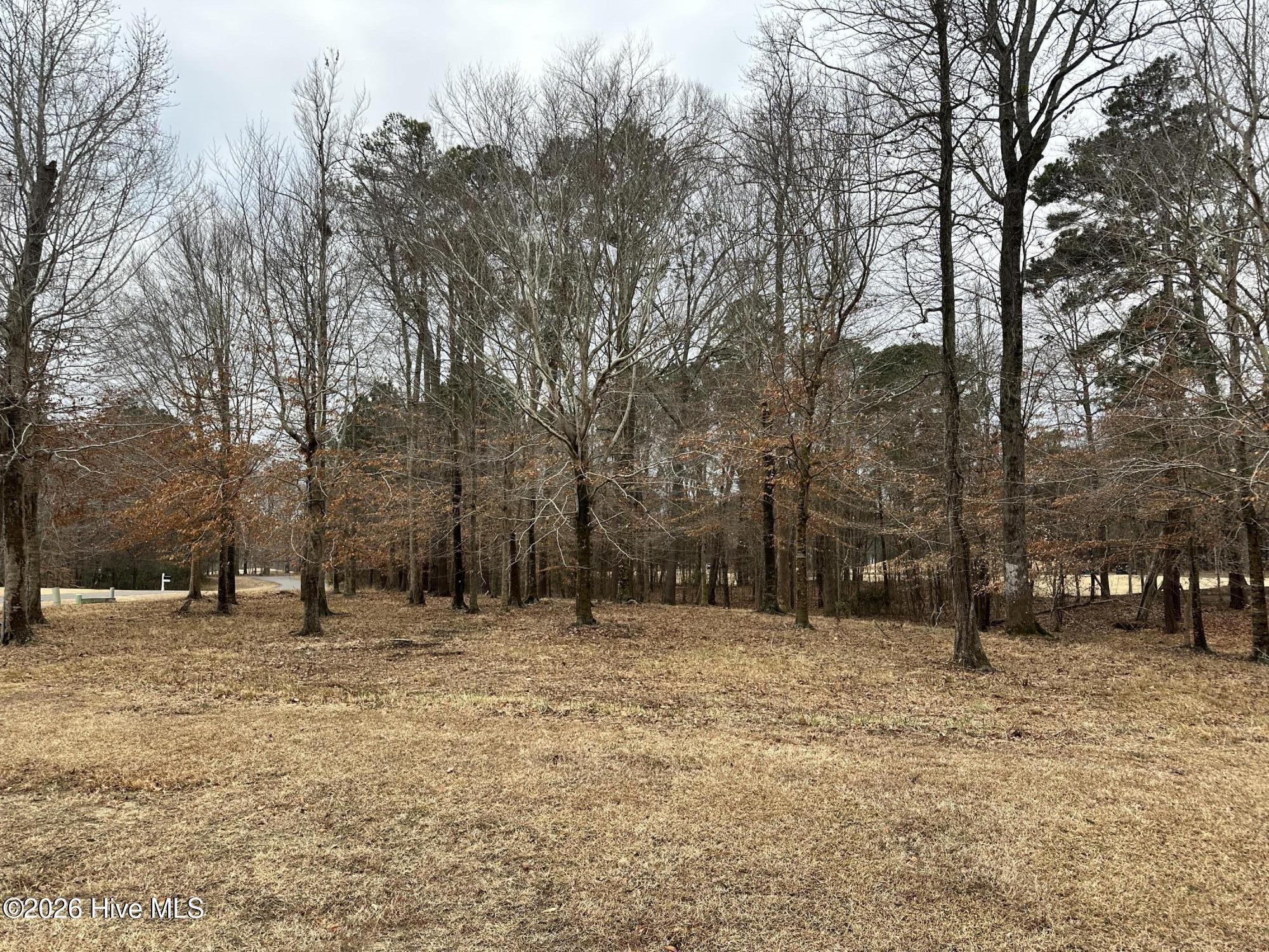 Image 4: IMG_7772