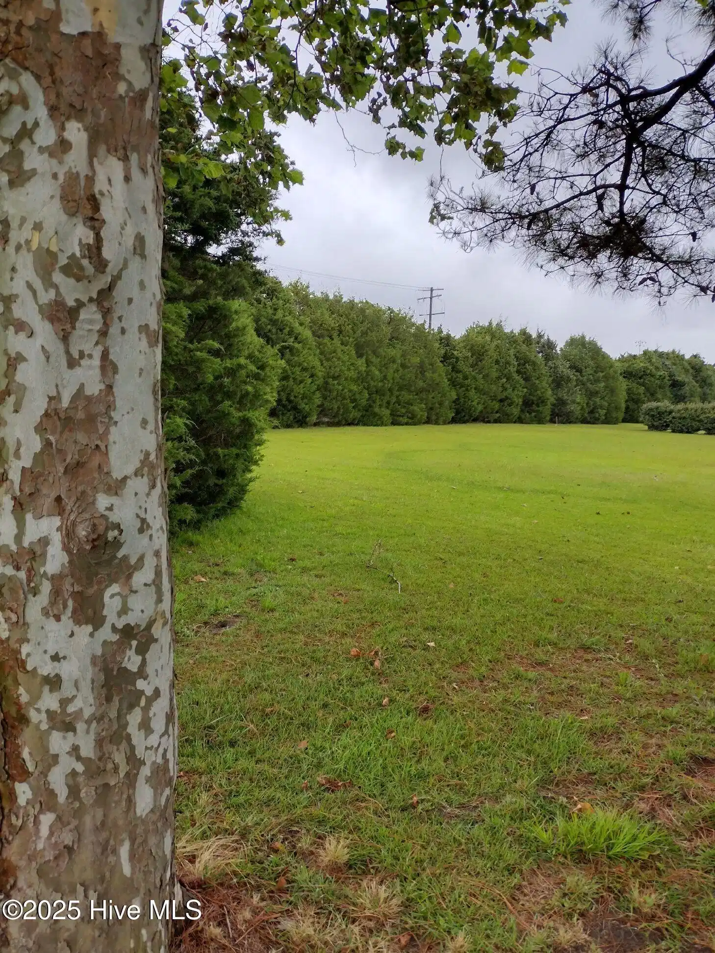Image 1: Land