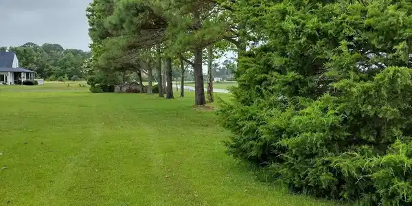 Image 3: Land
