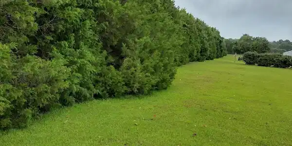 Image 4: Land