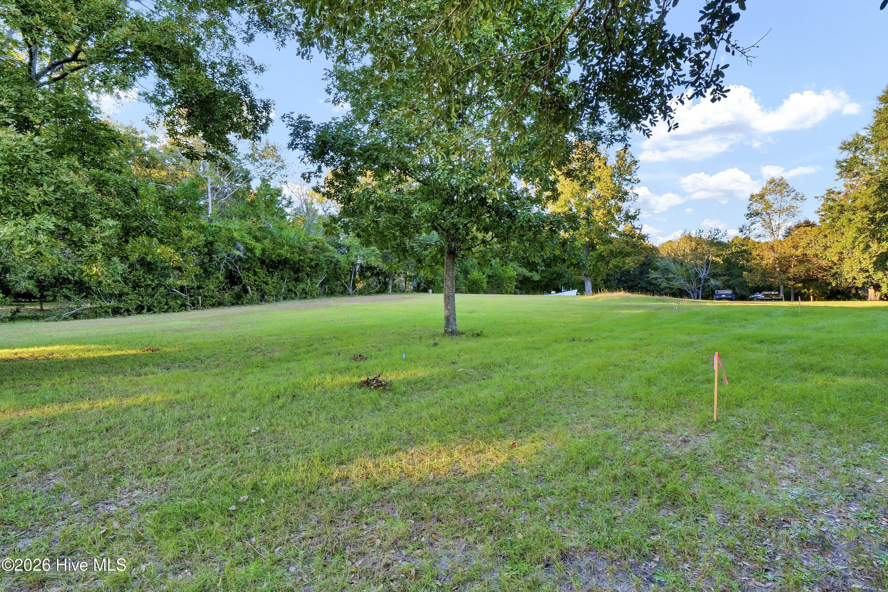 Image 4: 004_p2700164_811