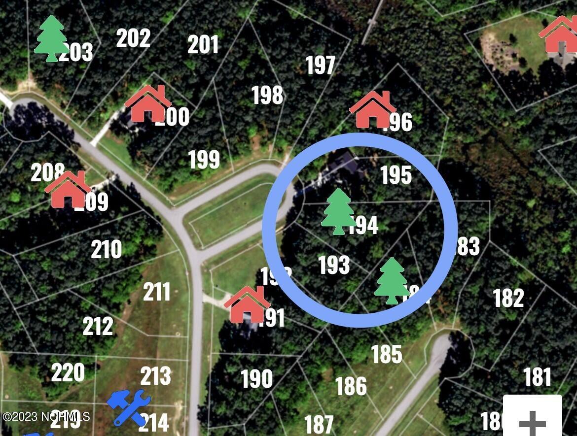 Image 3: lot 194