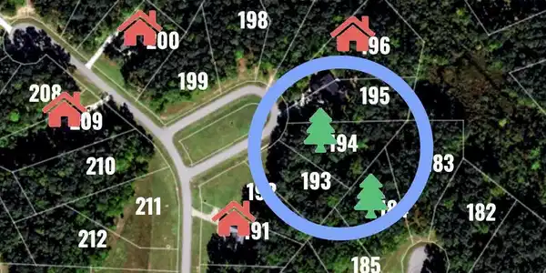 Image 3: lot 194