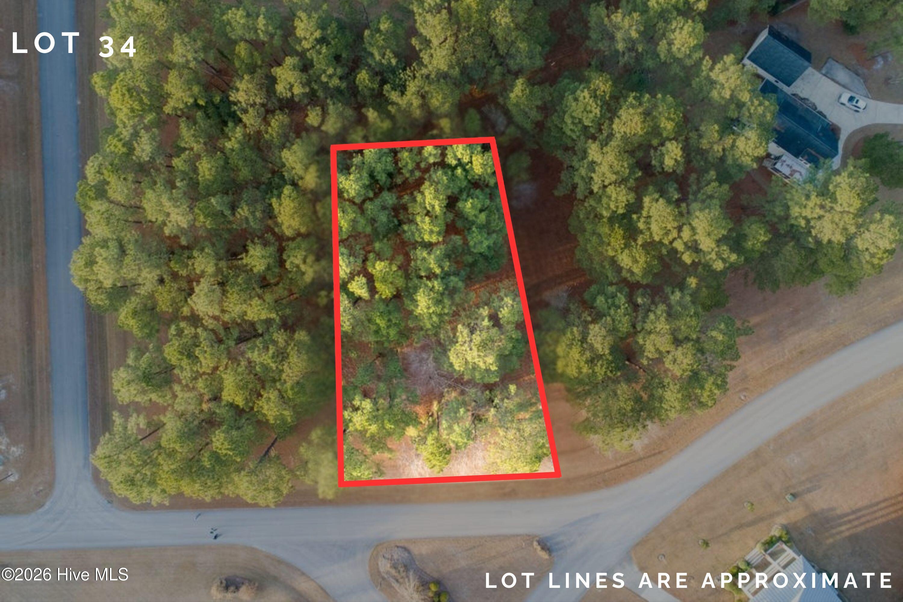 Image 3: Lot 34 (1)