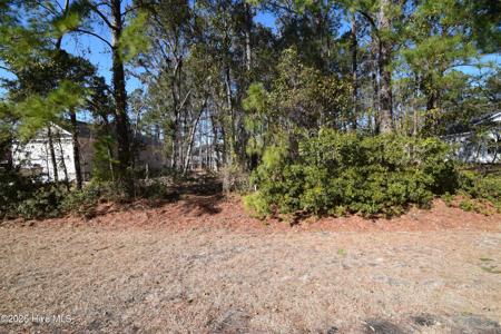 917 Sea Holly Court