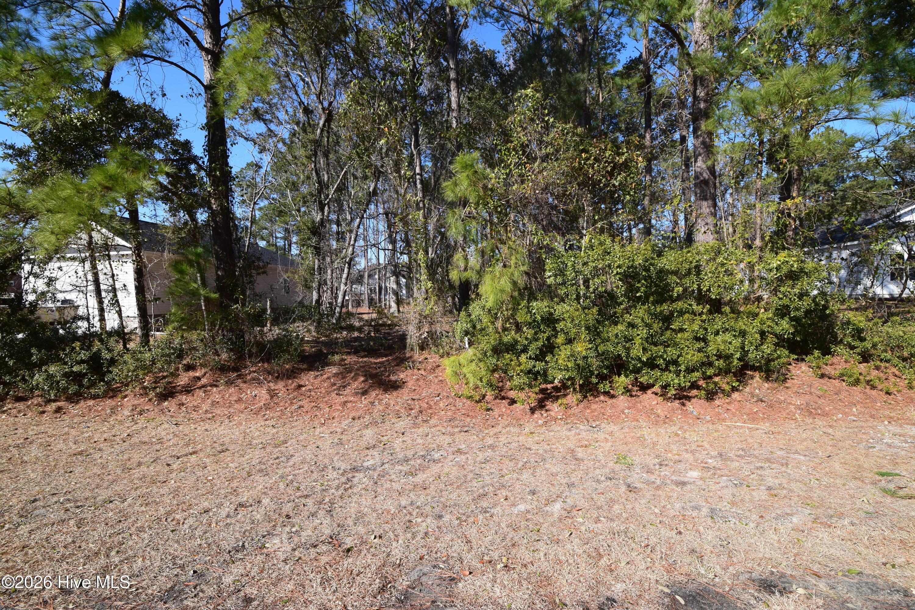 Image 1: 1